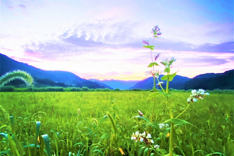 【兵庫県/新温泉町】真夏の夕陽に輝く山々と緑あふれる大自然