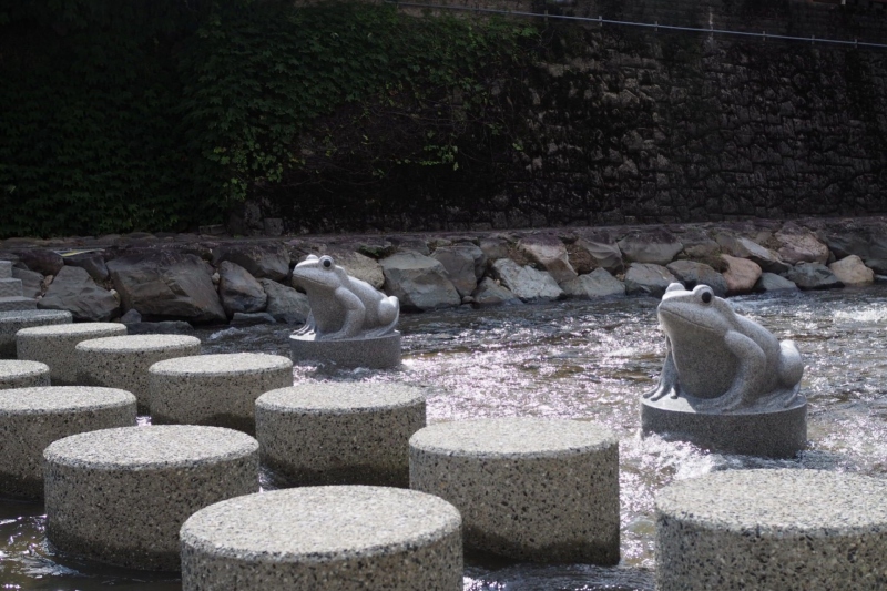 【兵庫県/湯村温泉】飛び石で春来川の対岸を渡れるようになりました＜川遊び＞