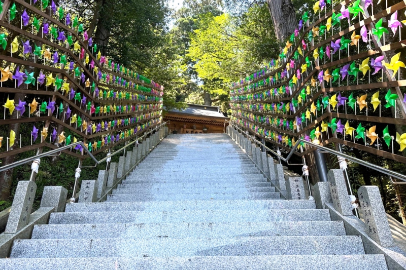 【宇都野神社】SNSで人気の色鮮やかな風車＜兵庫県/新温泉町＞