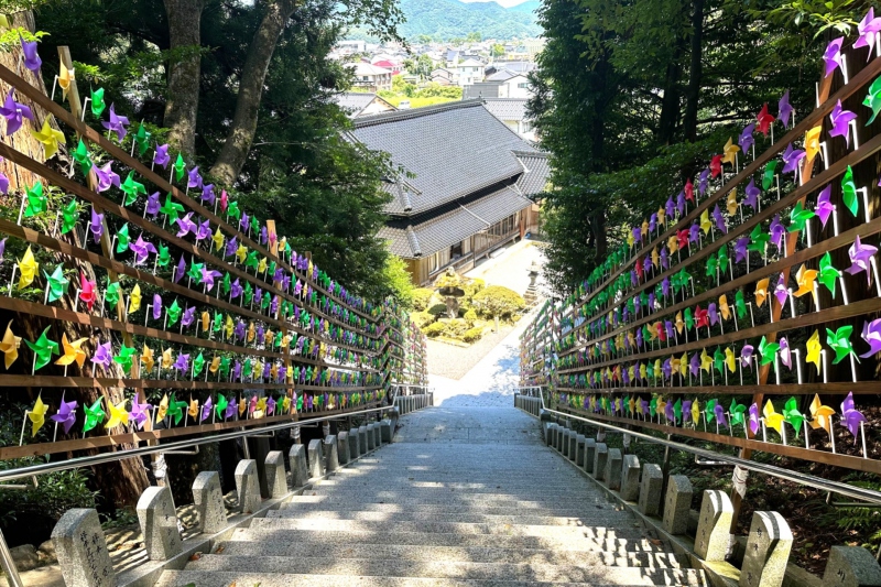 【宇都野神社】SNSで人気の色鮮やかな風車＜兵庫県/新温泉町＞