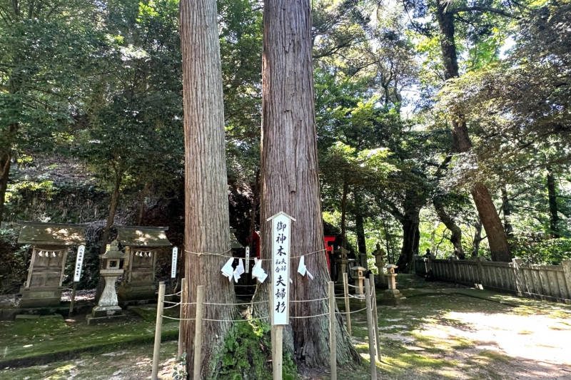 宇都野神社＜兵庫県/新温泉町＞