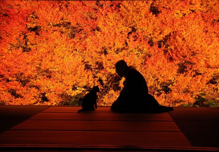 但馬安国寺 ドウダンツツジの紅葉