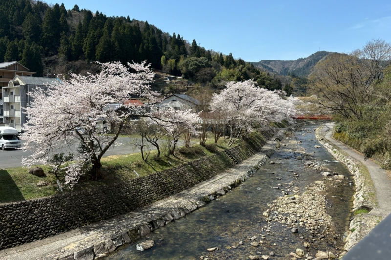 【朝食】朝から身体に優しい山陰地方食材の豊富な「せいろ蒸し」