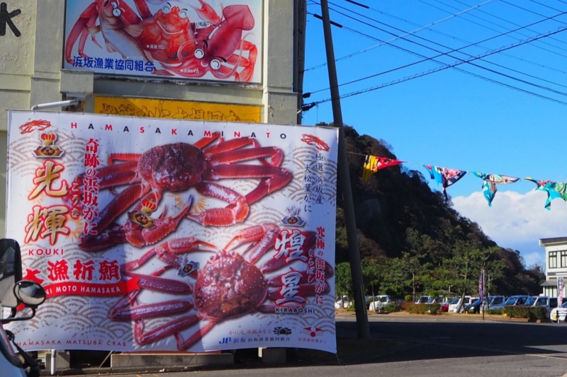 光輝（こうき）＆煌星（きらぼし）とは？浜坂松葉ガニの中からさらに厳選された松葉ガニブランド＜兵庫県/新温泉町＞