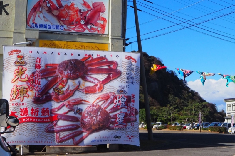 光輝（こうき）＆煌星（きらぼし）とは？浜坂松葉ガニの中からさらに厳選された松葉ガニブランド＜兵庫県/新温泉町＞
