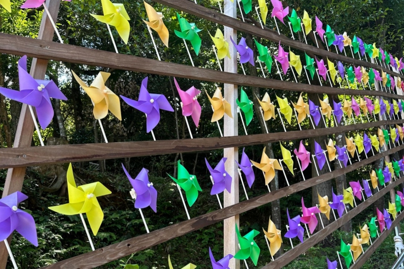 「宇都野神社」でSNSで人気の色鮮やかな風車（例年 6月頃～11月頃）を楽しむ＜兵庫県/新温泉町＞