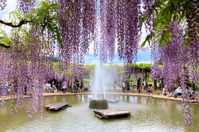 【兵庫県/湯村温泉】ゆあむの秋だより　～栗～