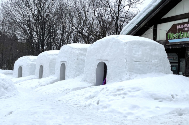 【冬季/積雪時限定】たじま高原植物園「かまくらレストラン」で但馬牛贅沢ランチを堪能＜兵庫県/香美町＞