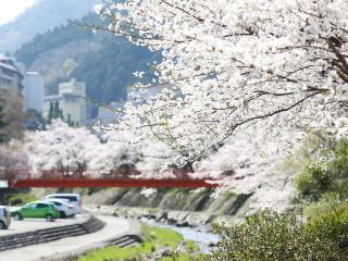 21年 兵庫県 湯村温泉周辺の桜の開花スポット 竹田城跡や鳥取なども 観光情報 新着情報 公式 兵庫 山陰 湯村温泉 湧泉の宿ゆあむ 旅館 ホテル